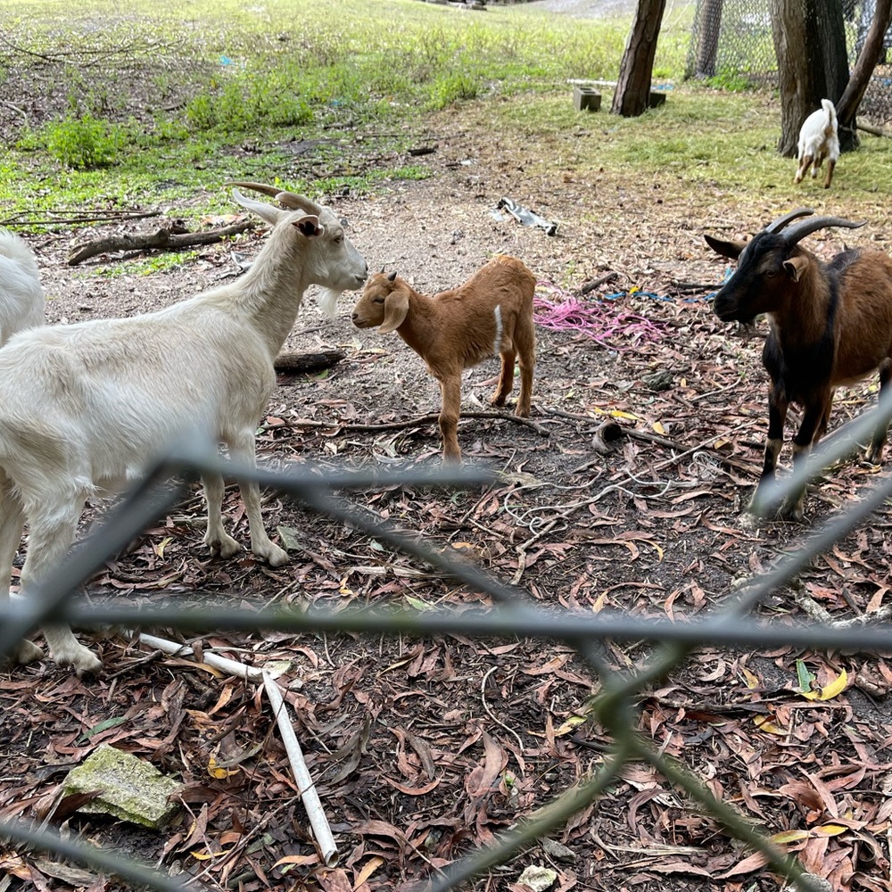 Meet your Posher, Ali